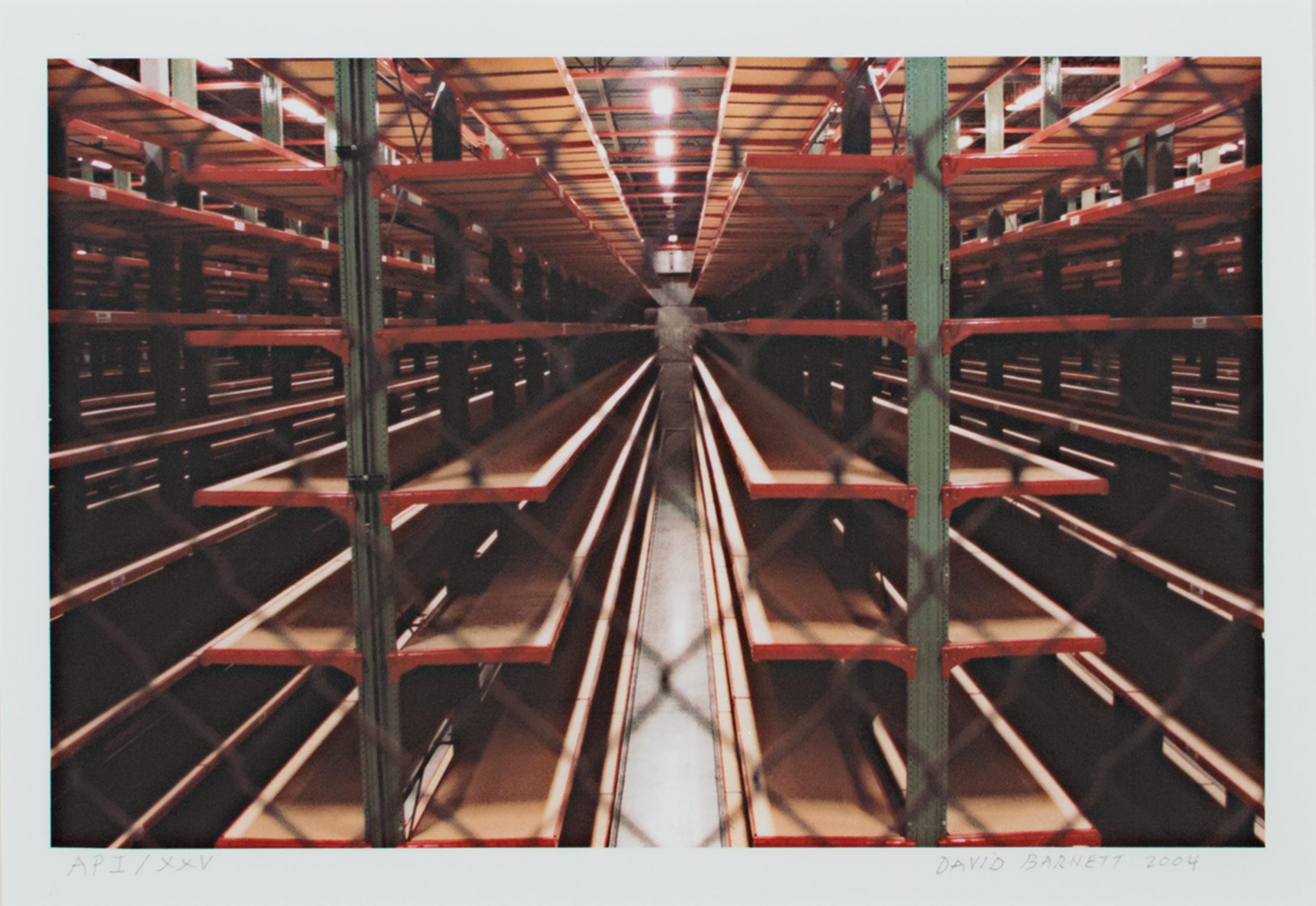 "Steinhafel's Warehouse Series Steel Forest Fenced, " Photograph by David Barnett