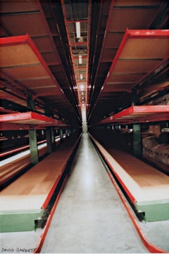 David Barnett Steinhafel S Warehouse Series Steel Forest