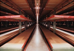 "Steinhafel's Warhouse Series: Silent Steel Forest, " Photograph by David Barnett