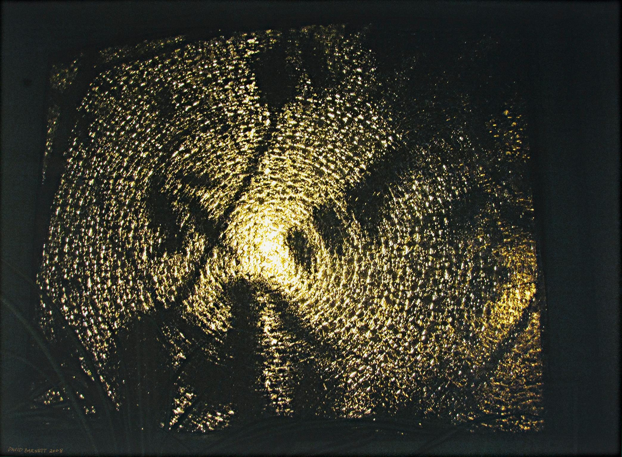"Synthetic Solar Silhouette" est une photographie originale d'art de Savid Barnett, signée et datée en bas à gauche. L'image est composée de noir et d'or ; des silhouettes de feuilles se détachent sur un fond texturé comme une peau de serpent.

Art