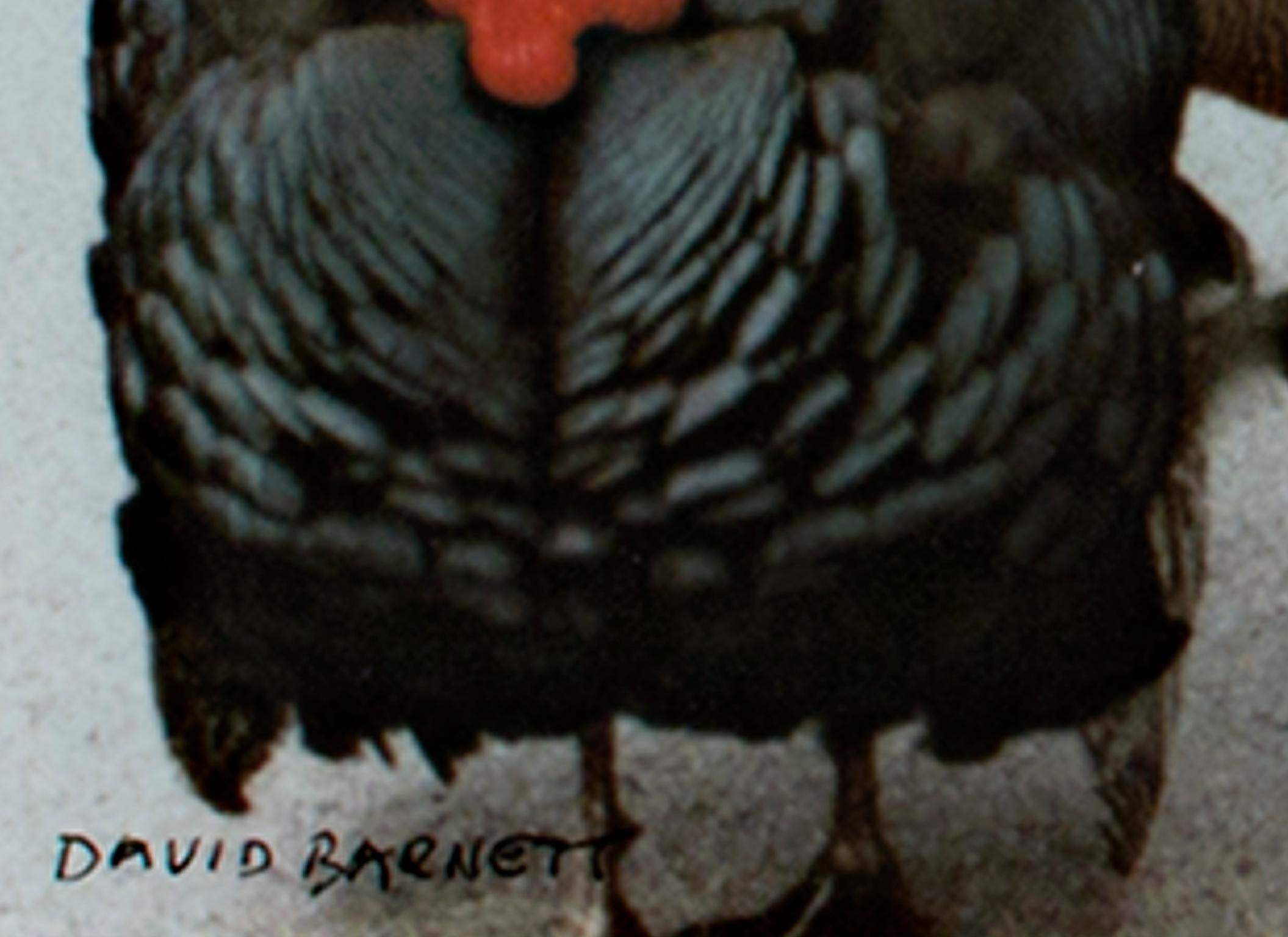 « The Three Musketters (Quadracci's Turkeys) », photographie de David Barnett en vente 1