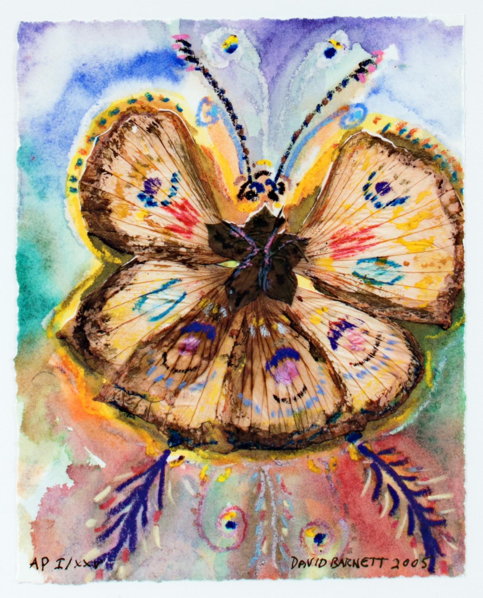 Impression giclée signée de l'artiste « Giant hybrid Hibiscus Butterfly » (fly hybrid hybride) I/XXV  - Print de David Barnett