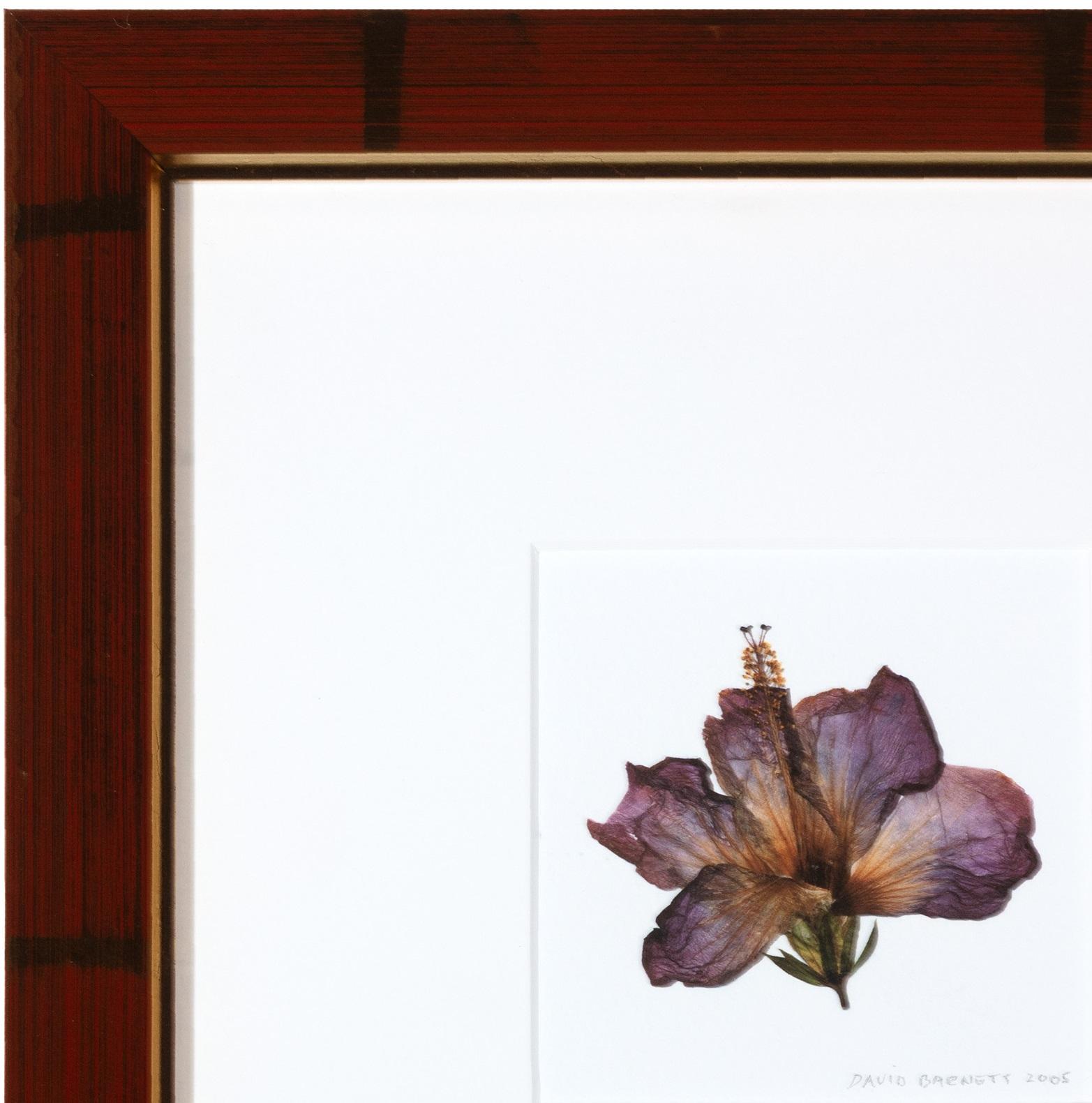 'Hybrid Hibiscus I' Archival inkjet print For Sale 1