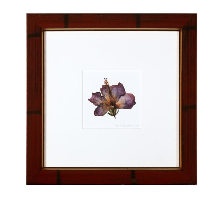 David 'Hybrid Hibiscus I' Archival inkjet print For Sale at 1stDibs