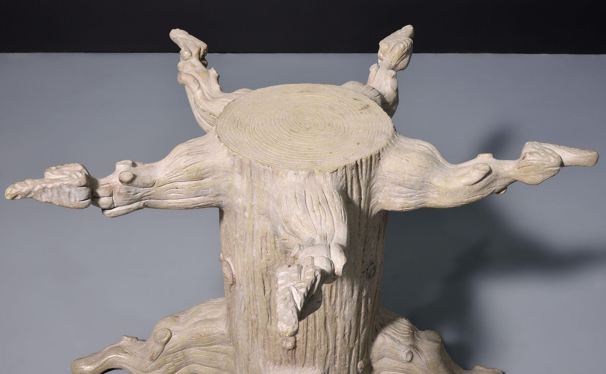apparent trunk