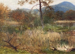 “A Corner of Lowes Water”