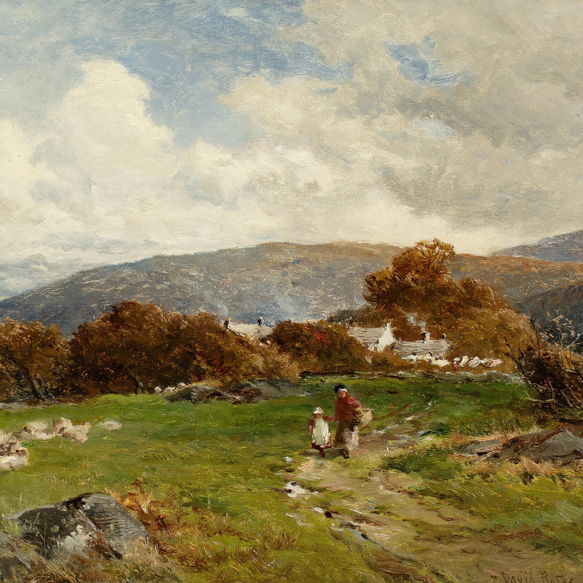 David Bates, Behind The Village, Capel Curig For Sale 2