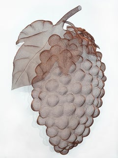 GRAPPOLOS, 2023, Steel Mesh Sculpture