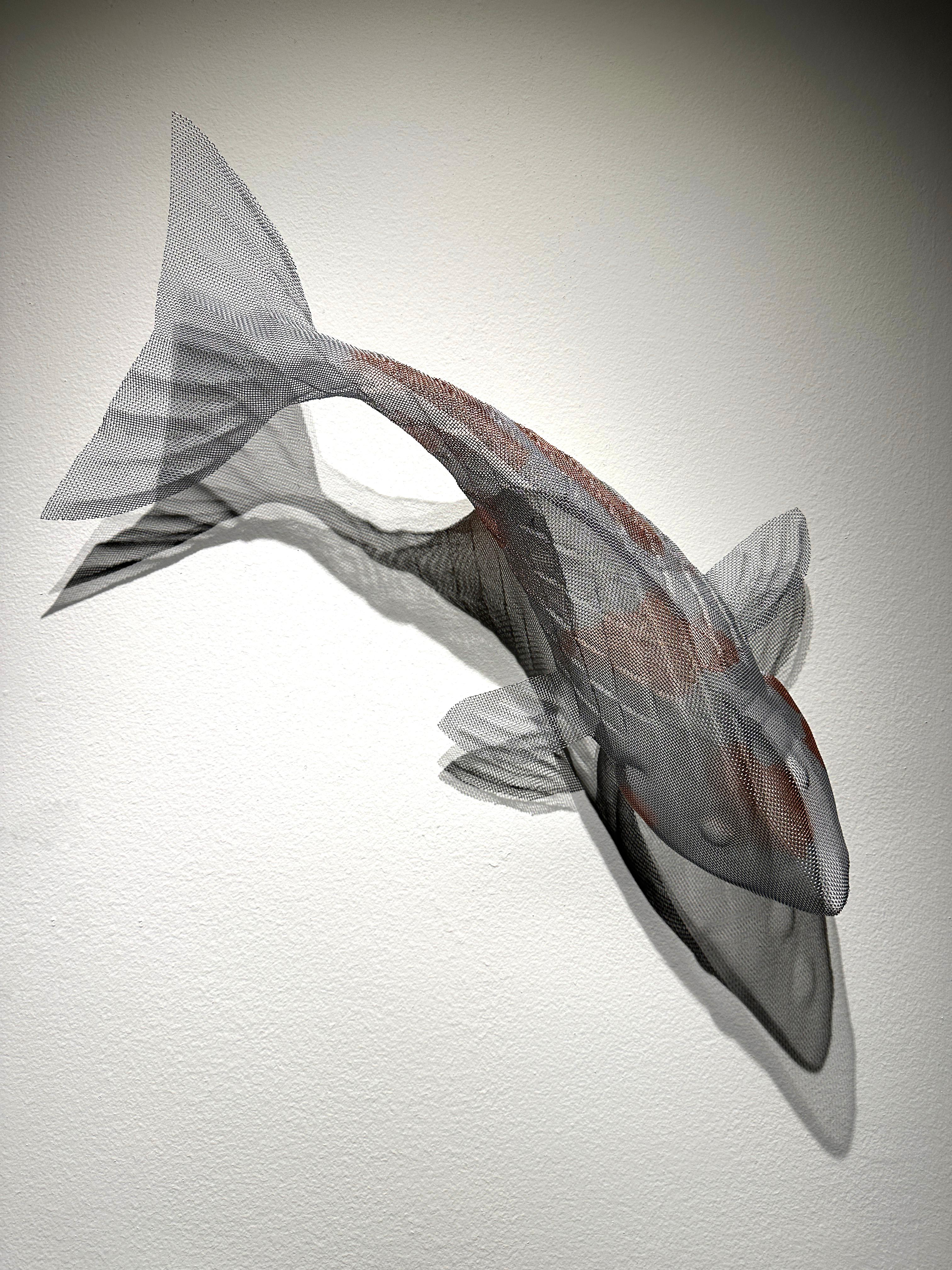 KOI, 2023, Steel Mesh Sculpture - Gray Figurative Sculpture by David Begbie