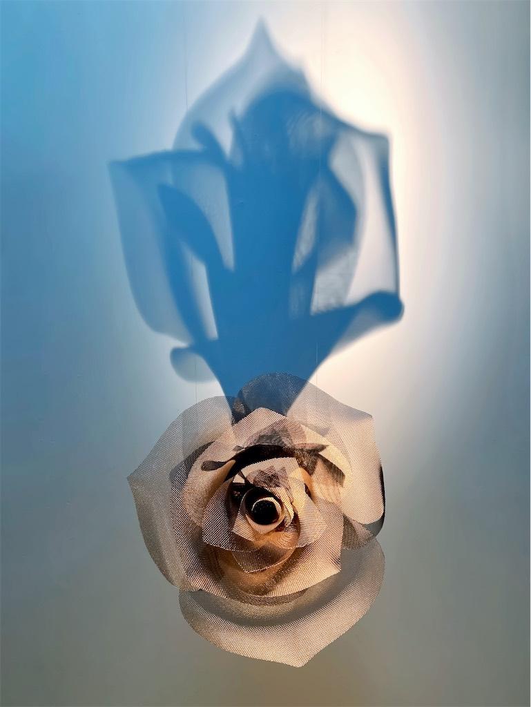 ROSEGOLD - Still-Life Sculpture Oro de David Begbie