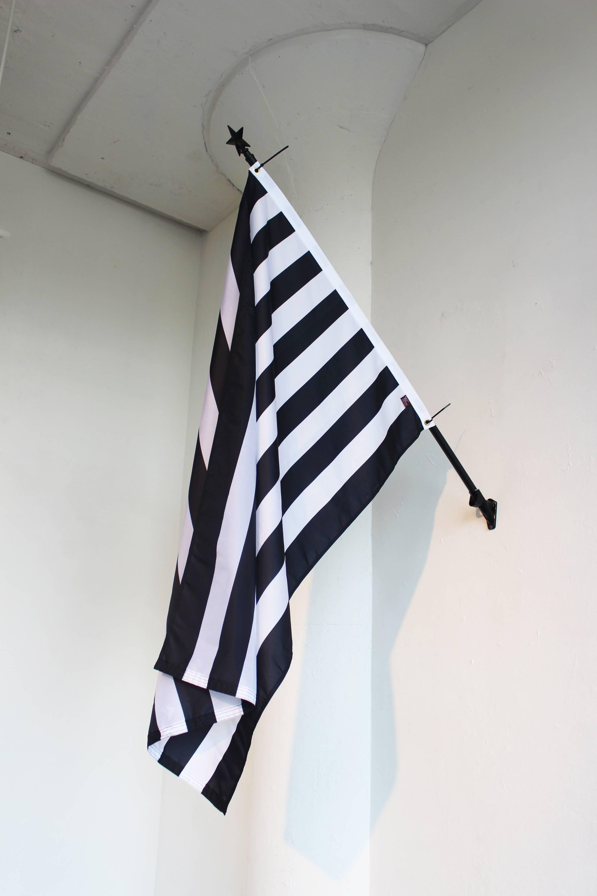 Bars and Stripes, 2017, Nylon flag, Aluminum flag pole - Sculpture by David Borawski