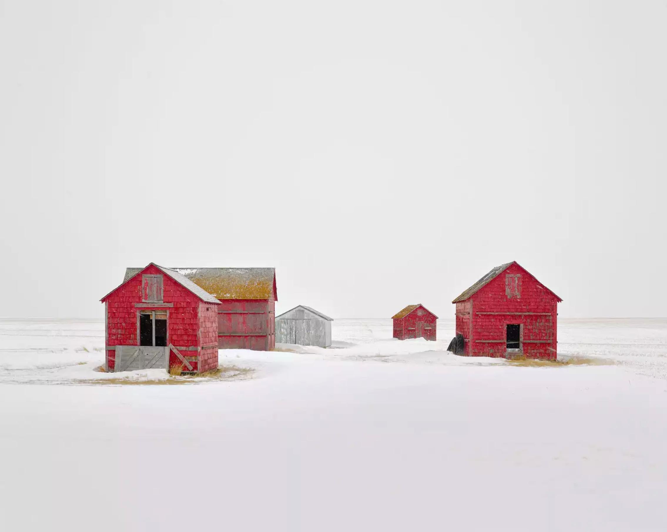 David Burdeny Color Photograph - A Group of Five, Saskatchewan, CA (32" x 40")