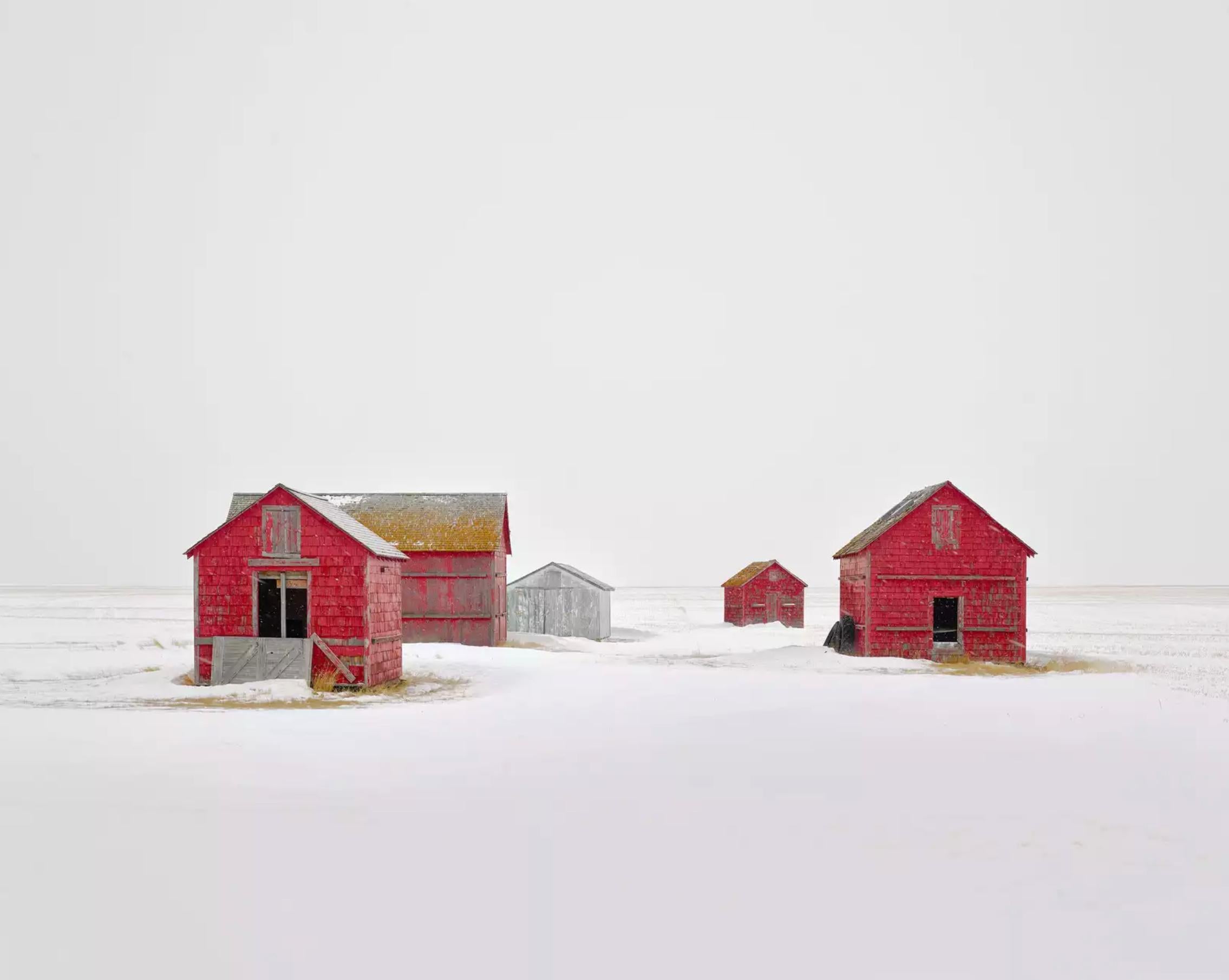 David Burdeny - A Group of Five, Saskatchewan, CA, 2020, Printed After