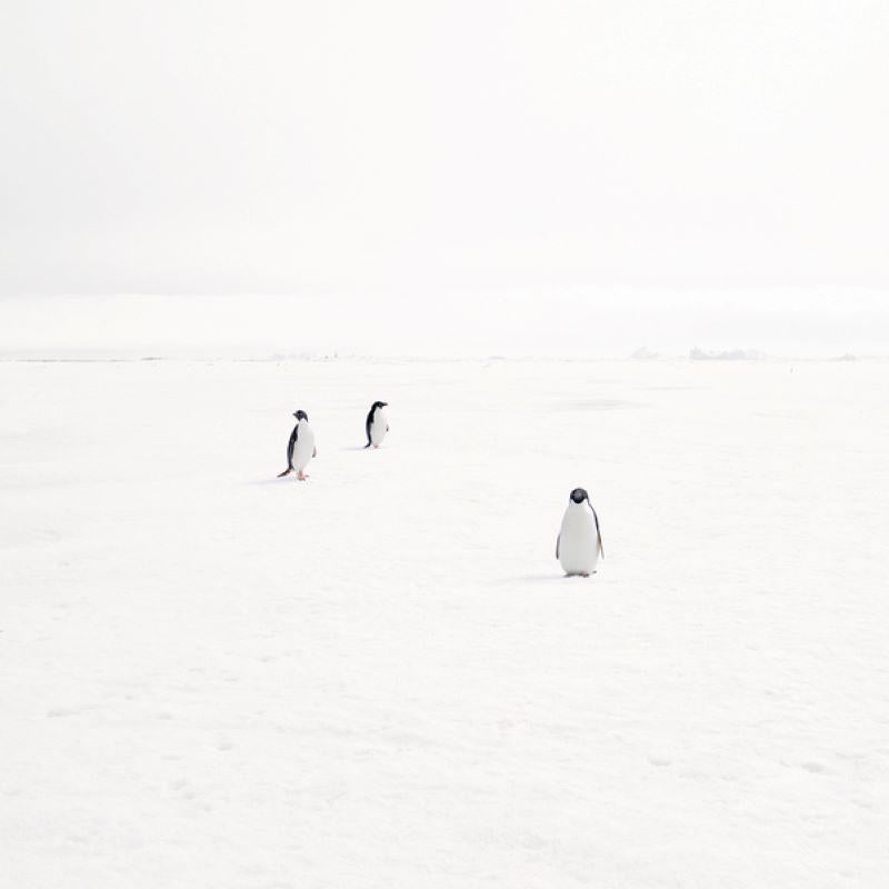 David Burdeny (n. 1968. Winnipeg, Canadá) se graduó con un máster en Arquitectura y Diseño de Interiores y pasó la primera parte de su carrera ejerciendo en su campo antes de establecerse como fotógrafo. Burdeny traduce su íntima apreciación de la