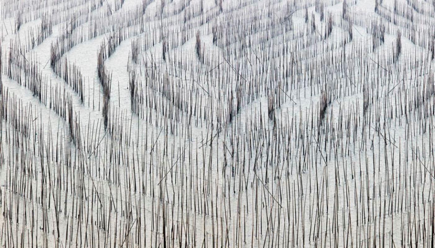 David Burdeny (nato nel 1968. Winnipeg, Canada) si è laureato con un master in Architettura e Interior Design e ha trascorso la prima parte della sua carriera esercitando la professione prima di affermarsi come fotografo. Burdeny traduce il suo