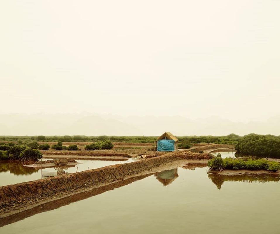 David Burdeny - Lona azul, Phu Long, Vietnam, Fotografía 2010, Impresión posterior