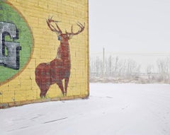 David Burdeny - Deer Crossing, Alberta, CA, photographie 2020, imprimée d'après