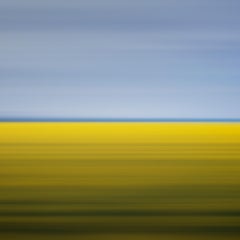 David Burdeny - Deriva 11, Campo de Mostaza, Fotografía 2001, Impreso después de