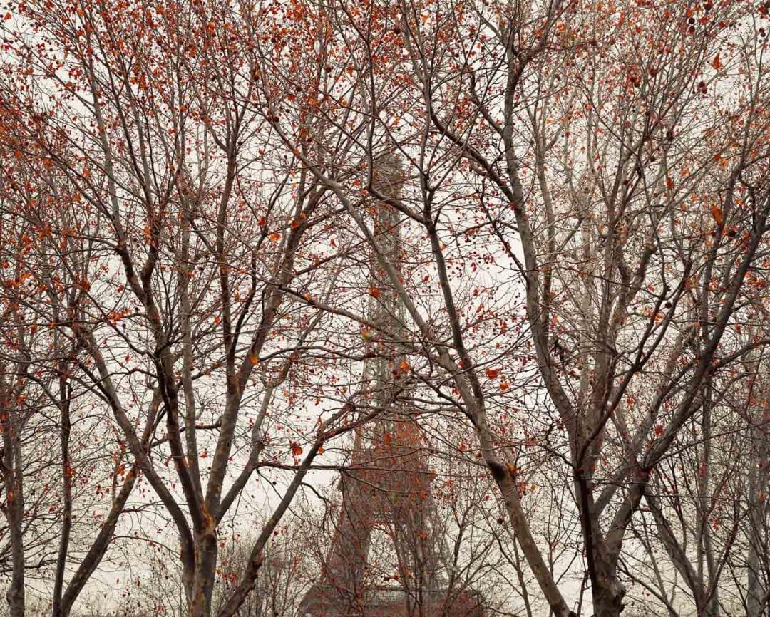 All available sizes &amp; editions for each size of this photograph:
13” x 21" Edition of 15
21” x 25" Edition of 7
32” x 53” Edition of 7
44" x 73" Edition of 7

While the spaces themselves are ornate and traditional, with Burdeny mirroring the