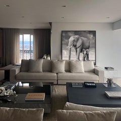 David Burdeny - Madre e vitello di elefante, Amboseli, Africa (Fotografia BW)