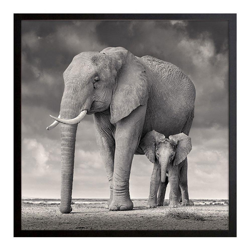 David Burdeny - Elephant Mother and Calf, Amboseli (Africa) For Sale 2