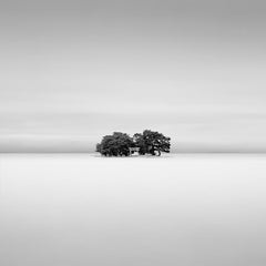 David Burdeny - Lago allagato, Giappone, 2007, stampa dopo