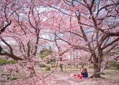 David Burdeny - Hanami Party, Kyoto, Japan, Photography 2019, Printed After