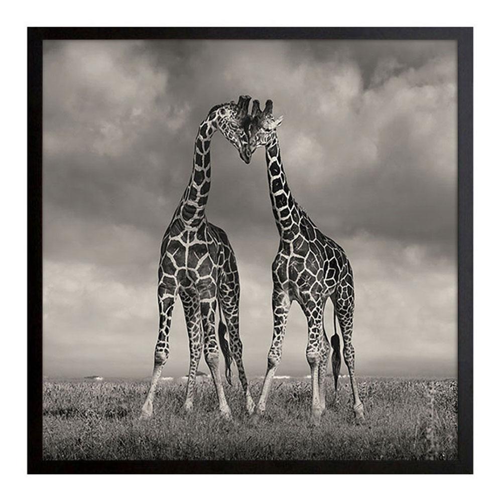 David Burdeny - Heads Together, Kenya, Africa (BW Photograph) For Sale 1