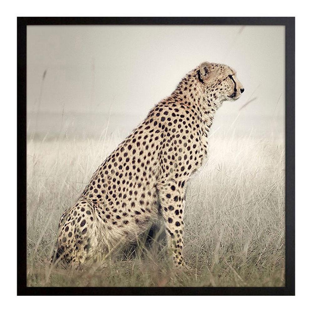 David Burdeny - Cheetah Profile (Africa) For Sale 1