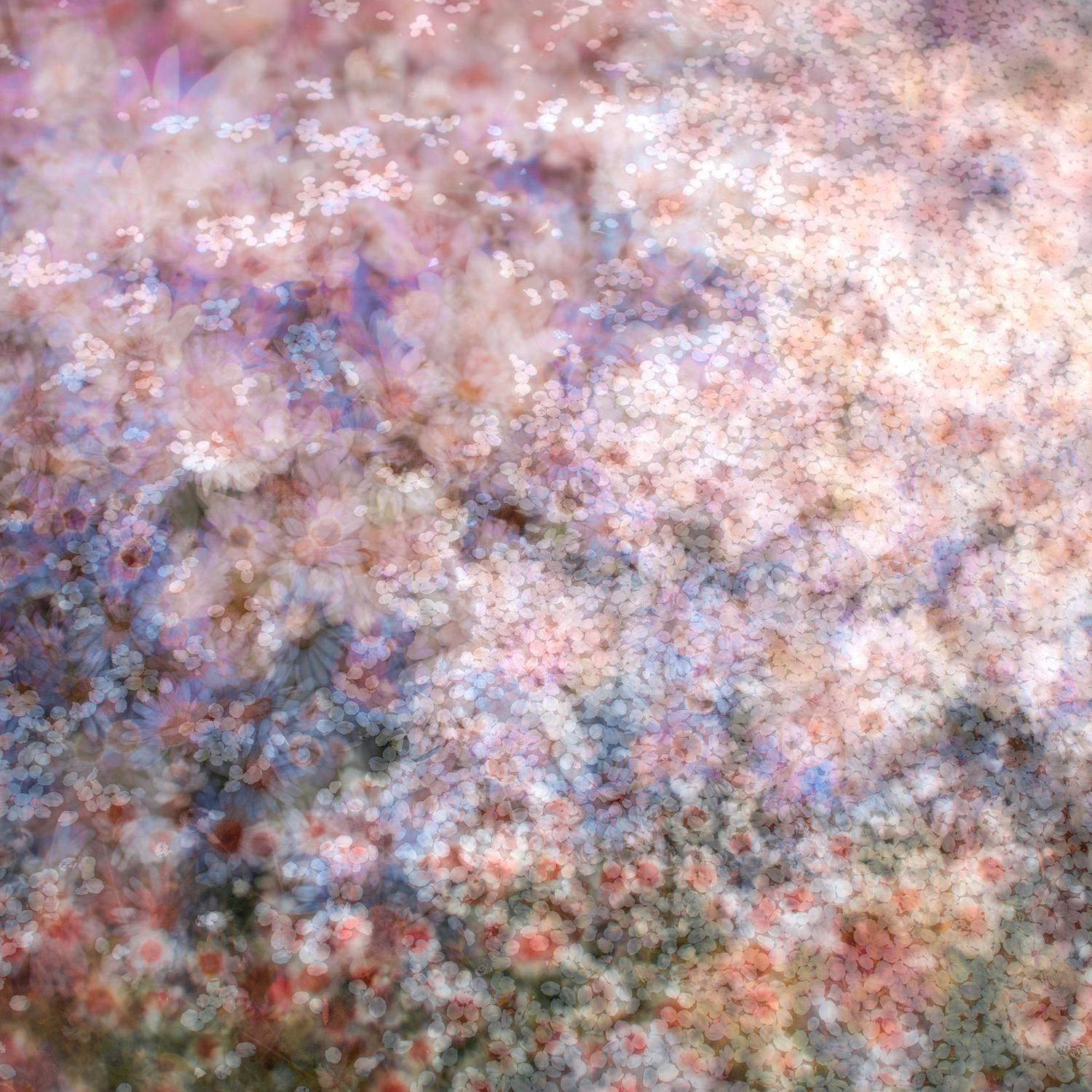 David Burdeny - Kadō 1, Photography 2019, Printed After