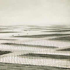 David Burdeny - Mesh, Südchinesisches Meer, Fotografie 2011, gedruckt nach