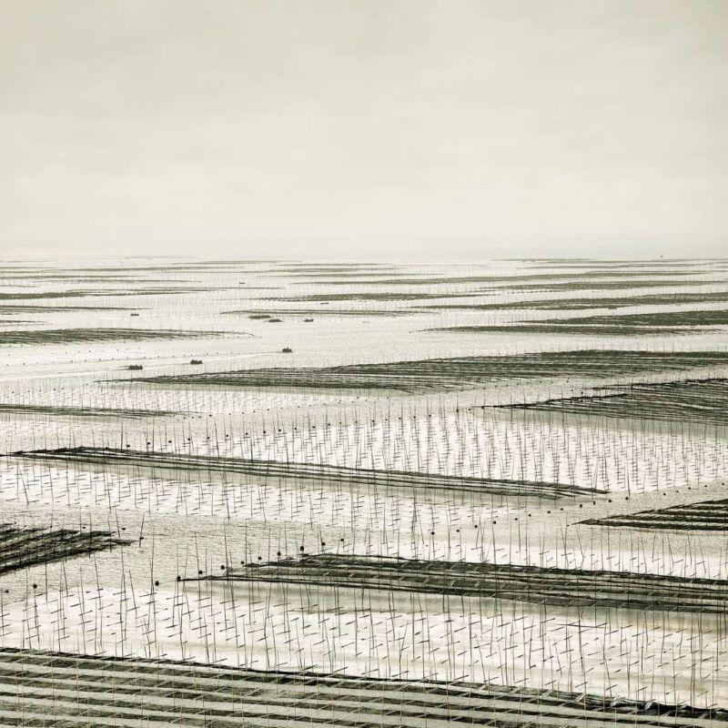 David Burdeny - Mesh, South China Sea, Photography 2011, Printed After