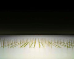 David Burdeny - Granja Mikawa-wan Nori, Japón, Fotografía  2009, Impreso después de