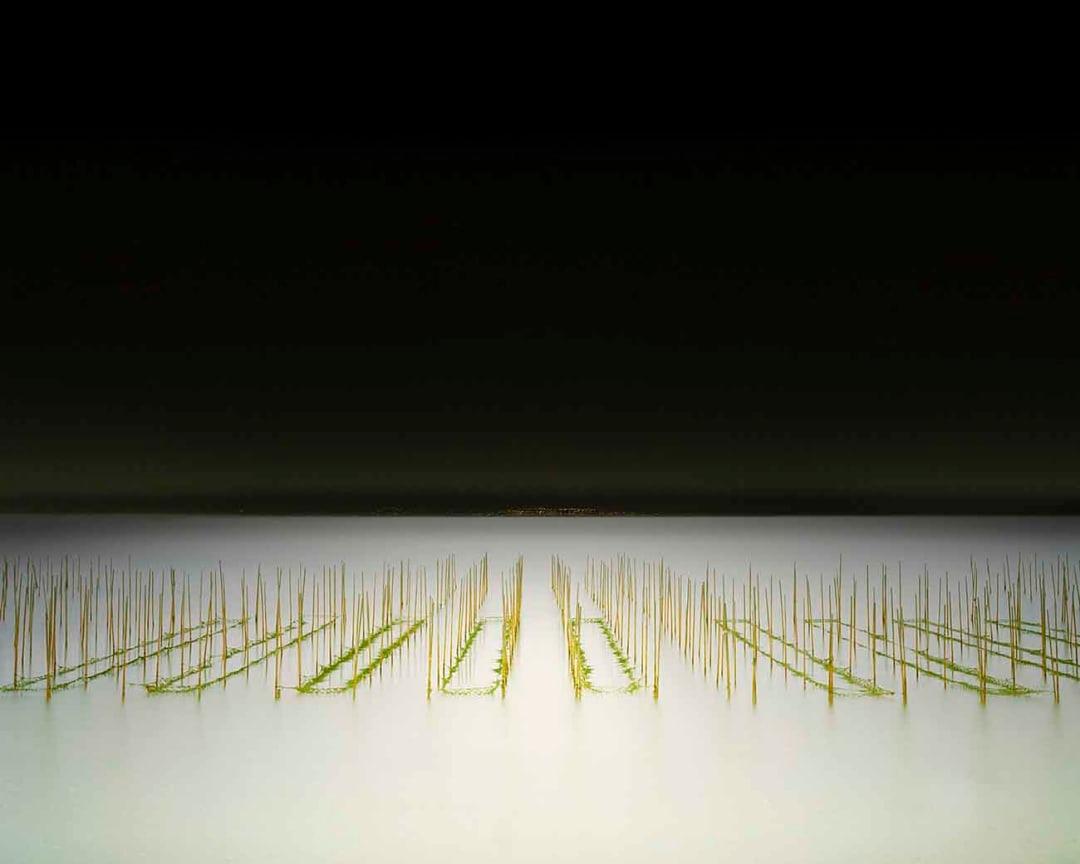 David Burdeny (b. 1968. Winnipeg, Canada) graduated with a Masters in Architecture and Interior Design and spent the early part of his career practicing in his field before establishing himself as a photographer. Burdeny translates his intimate