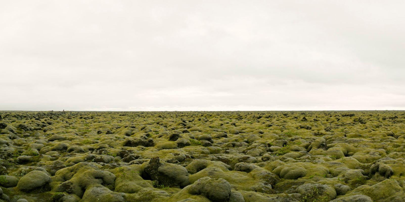 David Burdeny - Moss Covered Lava Field, Island, 2020, Bedruckt nach