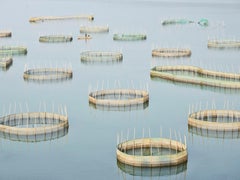 David Burdeny - Nets 2, Ningde, Fujian, China, 2017, Printed After