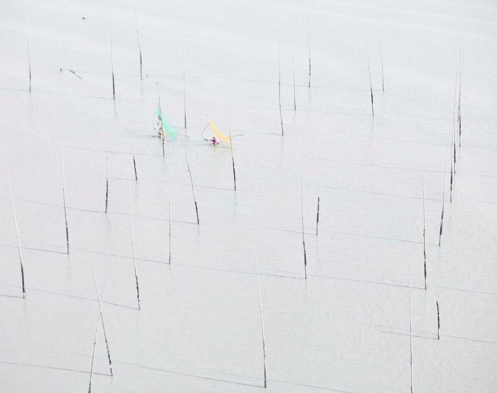 Título: Redes 4, Ningde, Fujian, República Popular China

David Burdeny (n. 1968. Winnipeg, Canadá) se graduó con un máster en Arquitectura y Diseño de Interiores y pasó la primera parte de su carrera ejerciendo en su campo antes de establecerse