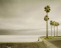 David Burdeny - Oasis, Nomozaki, Japan, Fotografie 2010, gedruckt nach