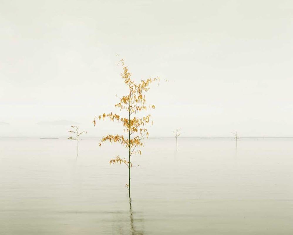 David Burdeny (n. 1968. Winnipeg, Canadá) se graduó con un máster en Arquitectura y Diseño de Interiores y pasó la primera parte de su carrera ejerciendo en su campo antes de establecerse como fotógrafo. Burdeny traduce su íntima apreciación de la