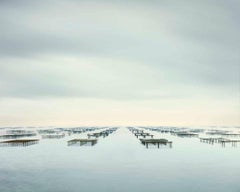 David Burdeny - Bastidores de ostras, Mèze, Francia, Fotografía 2012, Impreso después de