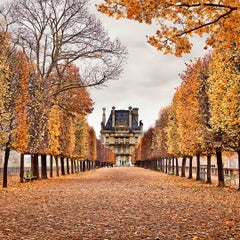 David Burdeny - Red Leaves, Paris, France, photographie 2018, imprimée d'après