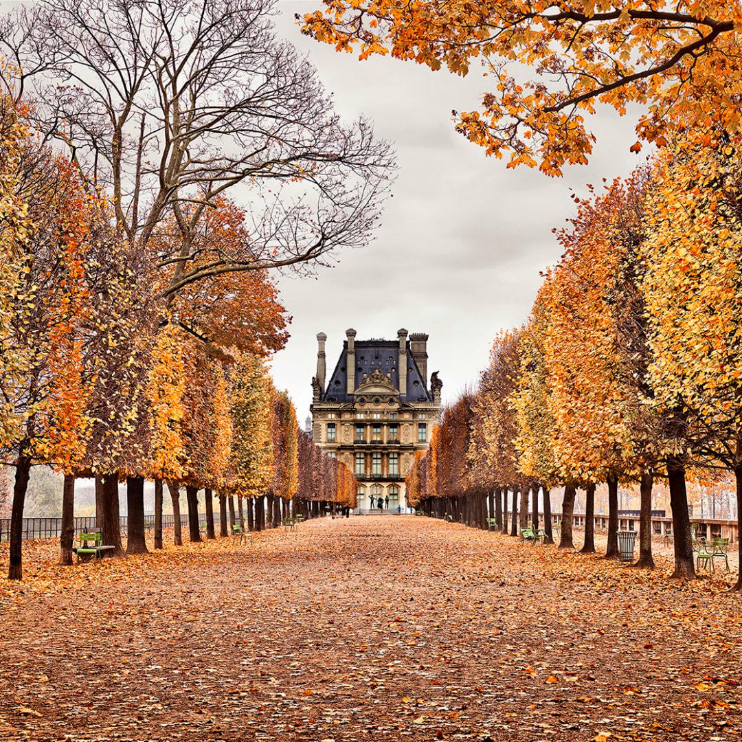 David Burdeny - Red Leaves, Paris, France, Photography 2018, Printed After