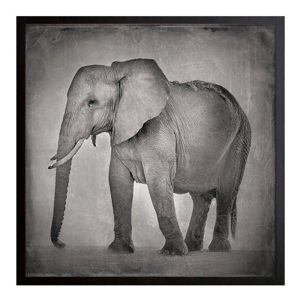 David Burdeny – ruhender Elefant, Amboseli, Kenia, Afrika (BW-Fotografie)  im Angebot 1
