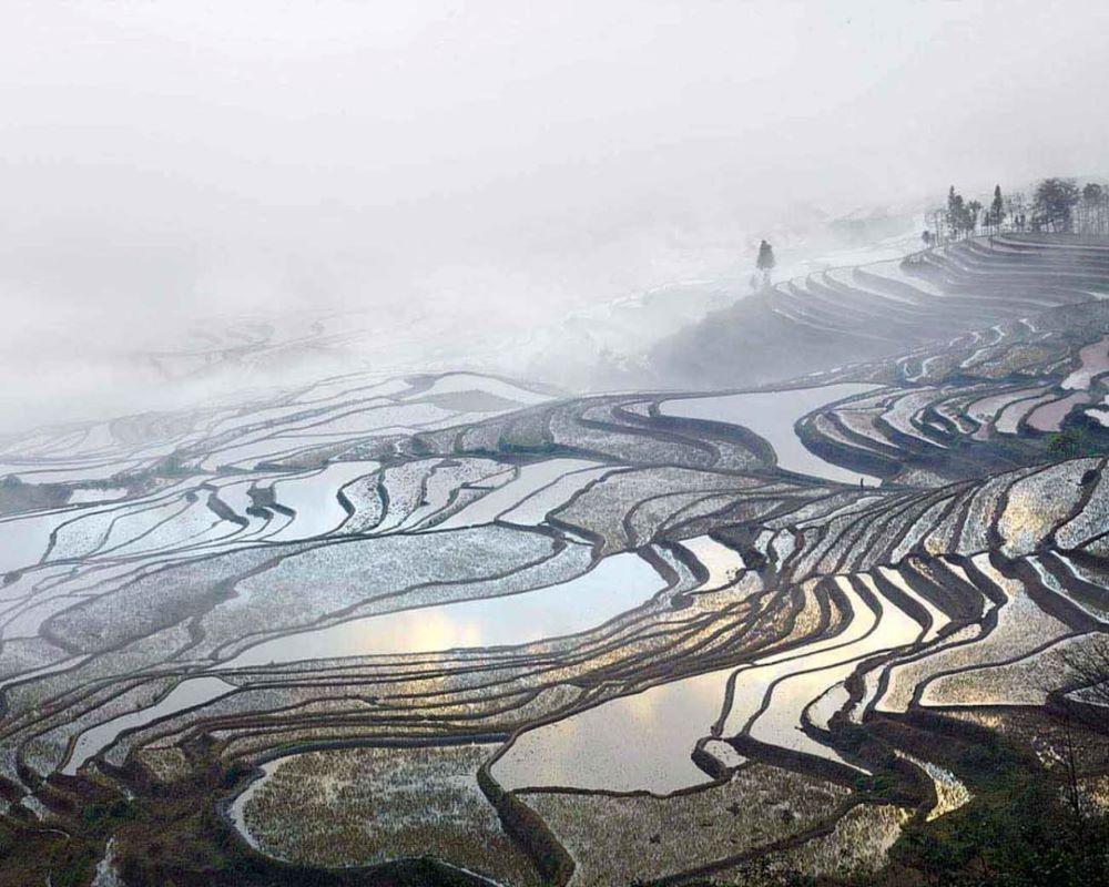 David Burdeny (b. 1968. Winnipeg, Canada) graduated with a Masters in Architecture and Interior Design and spent the early part of his career practicing in his field before establishing himself as a photographer. Burdeny translates his intimate