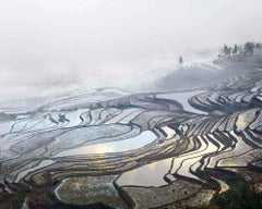 David Burdeny - Rice Terraces (Duoyishu), Yunnan, China, 2013, Printed After