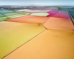 David Burdeny - Saltern Study 12, Great Salt Lake, UT, 2015, Printed After