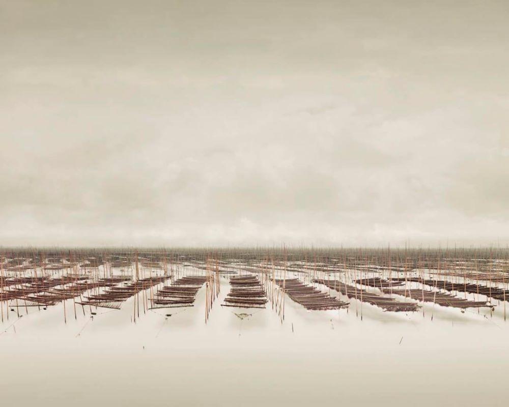 David Burdeny - Seaweed Farm, South China Sea, China, 2011, Printed After