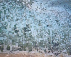 David Burdeny - Seaweed Farms II, Bali, Indonesia, 2014, Printed After