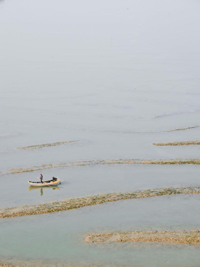 David Burdeny - Tiger Stripes, Chine, photographie 2017, imprimée d
après