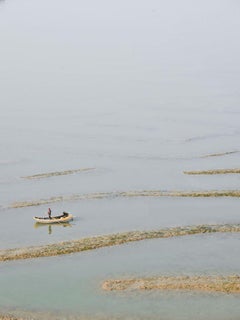 David Burdeny - Tiger Stripes, China, Photography 2017, Printed After
